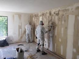 Why You Should Choose Our Mold Remediation Services in Centreville, AL